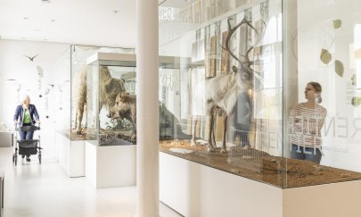 In diesem Land vor unserer Zeit - das Eiszeitalter in Norddeutschland In diesem Land vor unserer Zeit - das Eiszeitalter in Norddeutschland