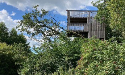 Bollenhagener Moorwald