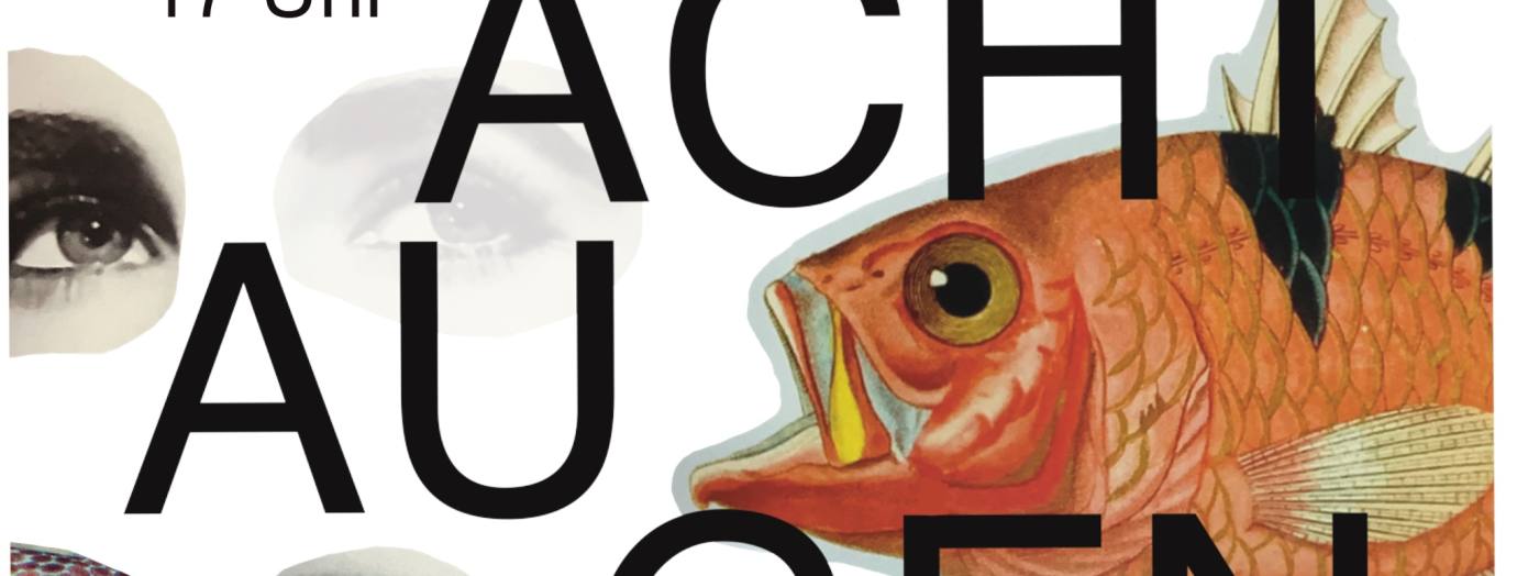 Acht Augen - Vom gemeinsamen und unterschiedlichen Sehen