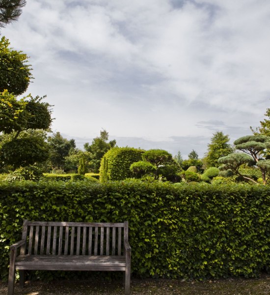 parkdergaerten_ammerland_vb_2011_mg_2705 parkdergaerten_ammerland_vb_2011_mg_2705