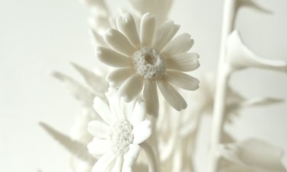 Abgebildet sind zarte Bl&uuml;ten aus Porzellan.