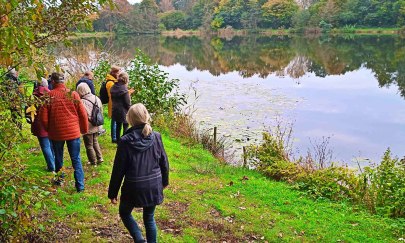 Wandern auf Everstener Schleichwegen Wandern auf Everstener Schleichwegen
