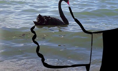 Christoph Niemann, Like, 2020