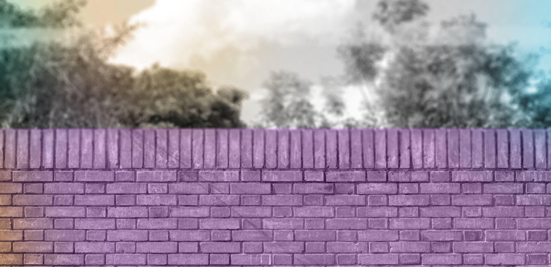 WTF &ndash; Women That Fight