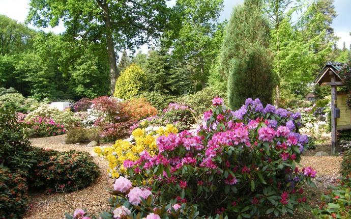 schaugarten-4 schaugarten-4