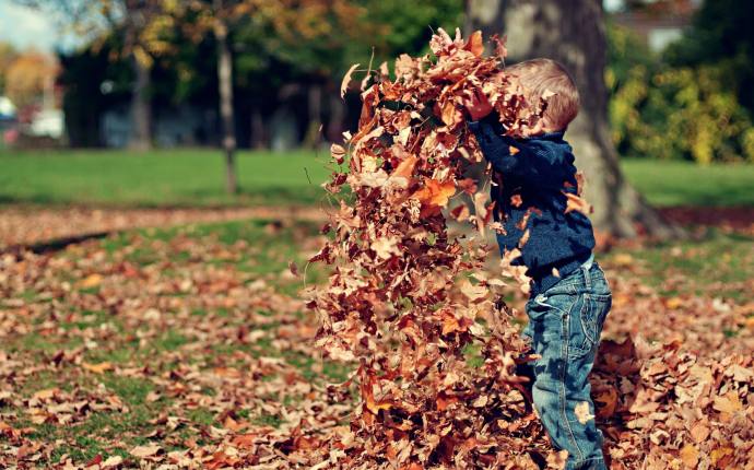 Garten im Wandel - Farben des Herbstes