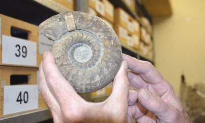 Ferienworkshop: Die faszinierende Welt der Mineralien und Fossilien