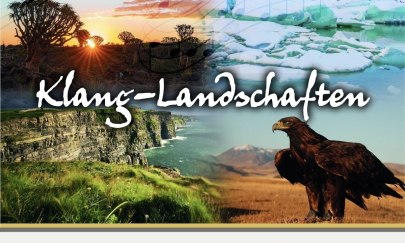 Konzertplakat Konzertplakat