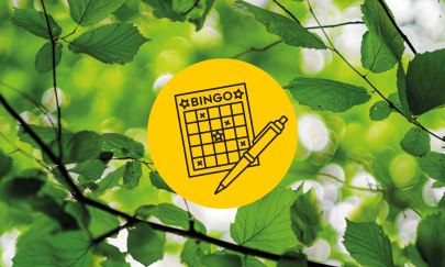 Oldenburg Bingo im Stadtwald