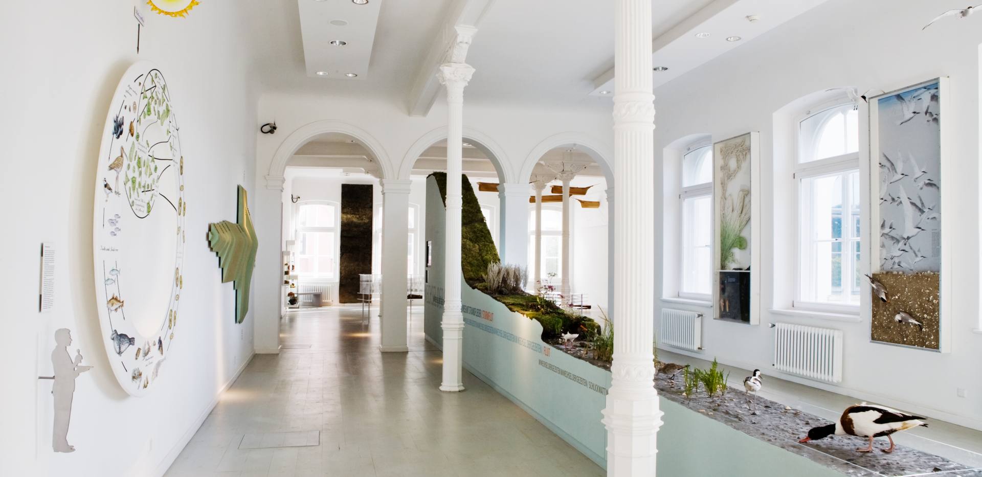 Landesmuseum Natur und Mensch Ausstellung Landesmuseum Natur und Mensch Ausstellung