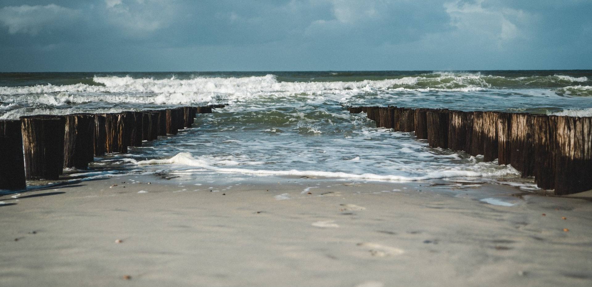 Leben zwischen Land und Meer - unsere dynamische Küste