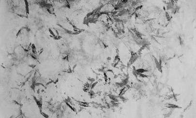 Petra Timmas, Schwarm 1, 2025, Monotypie, 21 x 29 cm