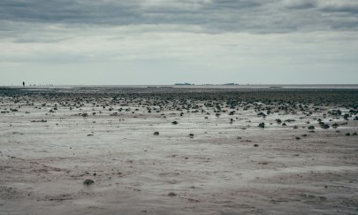 Wattenmeer
