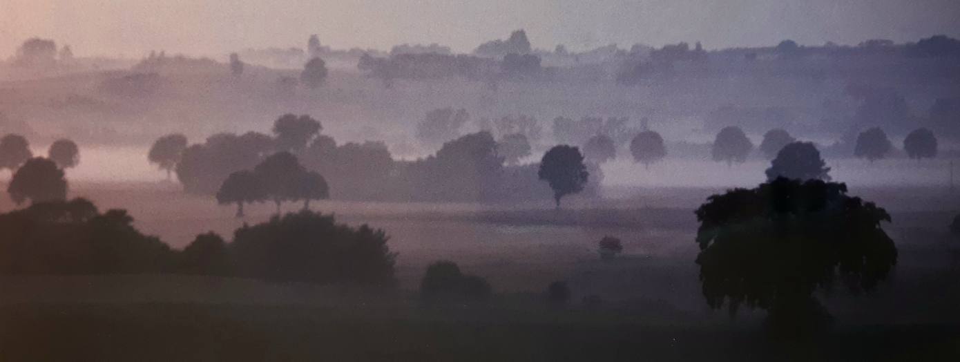 Der Abend ist mein Buch. © Peter Hoeltzenbein