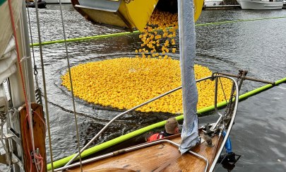 Die schnellsten Enten gewinnen!