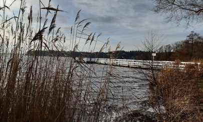 Neujahrswanderung ums Zwischenahner Meer Neujahrswanderung ums Zwischenahner Meer