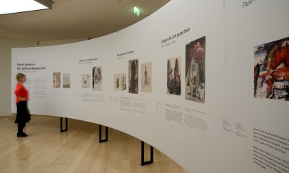 Blick in die Dauerausstellung des Horst-Janssen-Museums