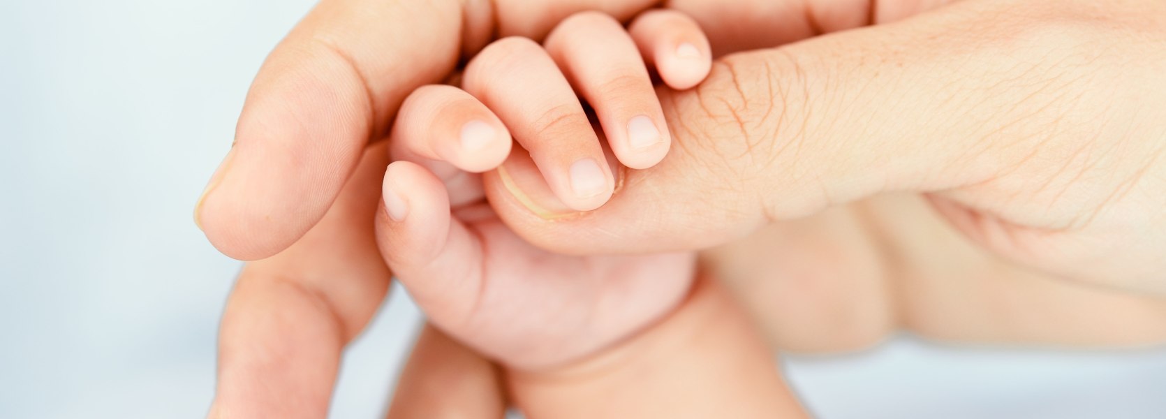 Begleitung Begleitung