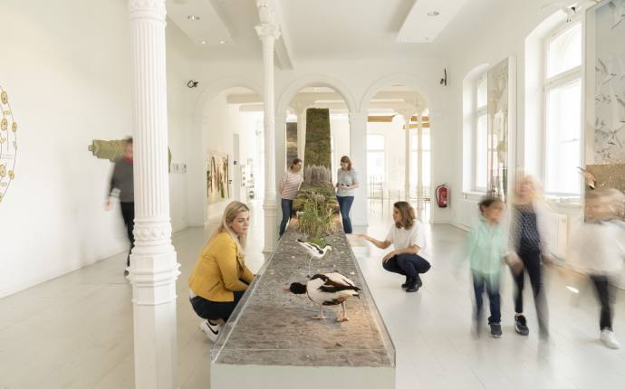 K&uuml;ste im Wandel &ndash; Leben mit Gezeiten, Wind und Wasser