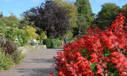 Garten im Wandel - Sommerliche F&uuml;lle