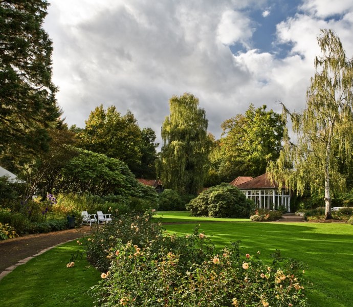 Blick in den Rosengarten im Schlossgarten Oldenburg.