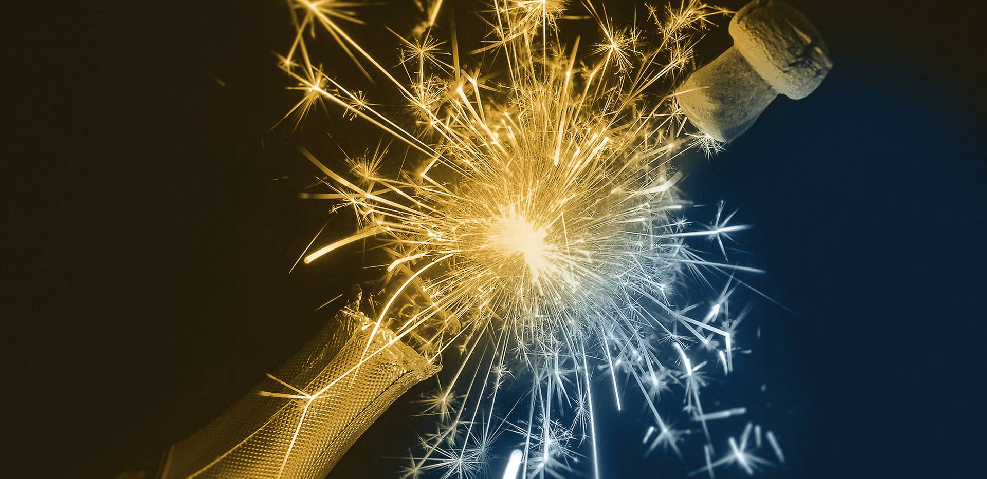 NEUJAHRSKONZERT NEUJAHRSKONZERT