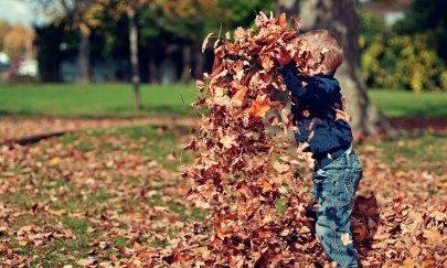 Garten im Wandel - Farben des Herbstes