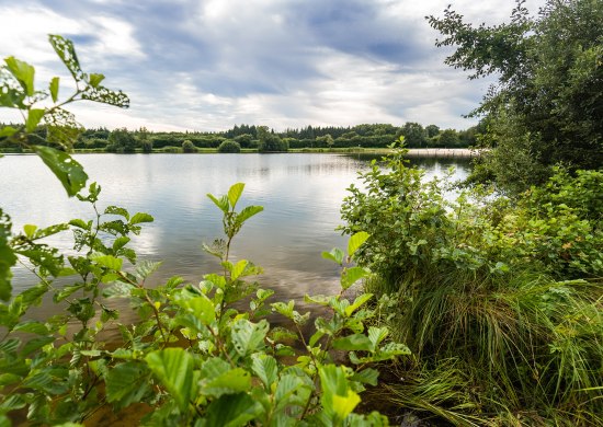 Woldsee bei Oldenburg