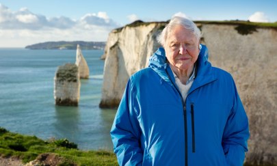 Ocean-With-David-Attenborough-Keith-Scholey-©Silverback-Films-and-Open-Planet-Studios-1536x1024