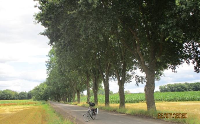 Rasthütten-Tour im Oldenburger Land Rasthütten-Tour im Oldenburger Land
