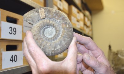 Geologische Fundberatung Geologische Fundberatung