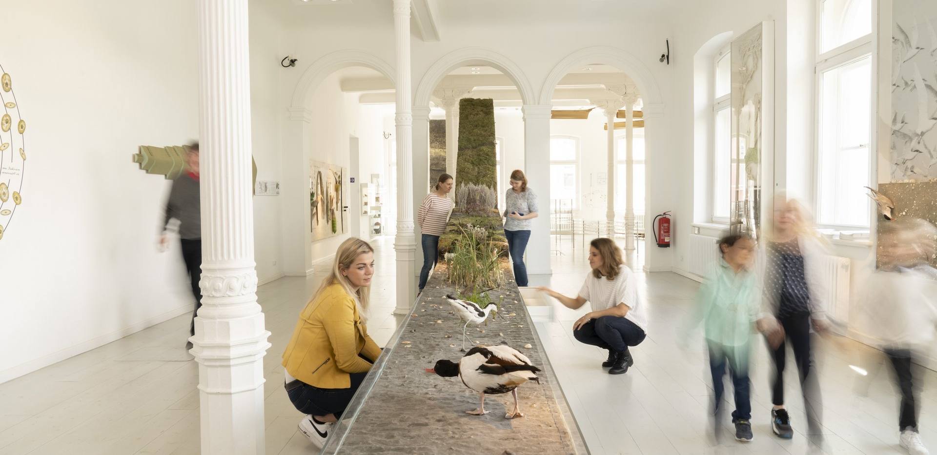 Küste im Wandel – Leben mit Gezeiten, Wind und Wasser Küste im Wandel – Leben mit Gezeiten, Wind und Wasser