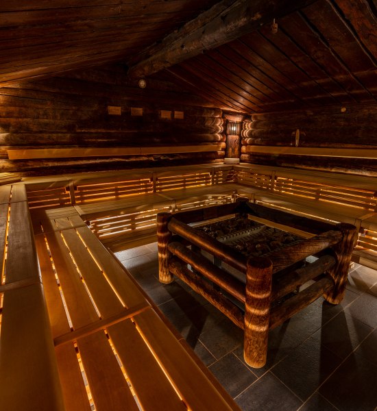 OLantis Oldenburg Sauna