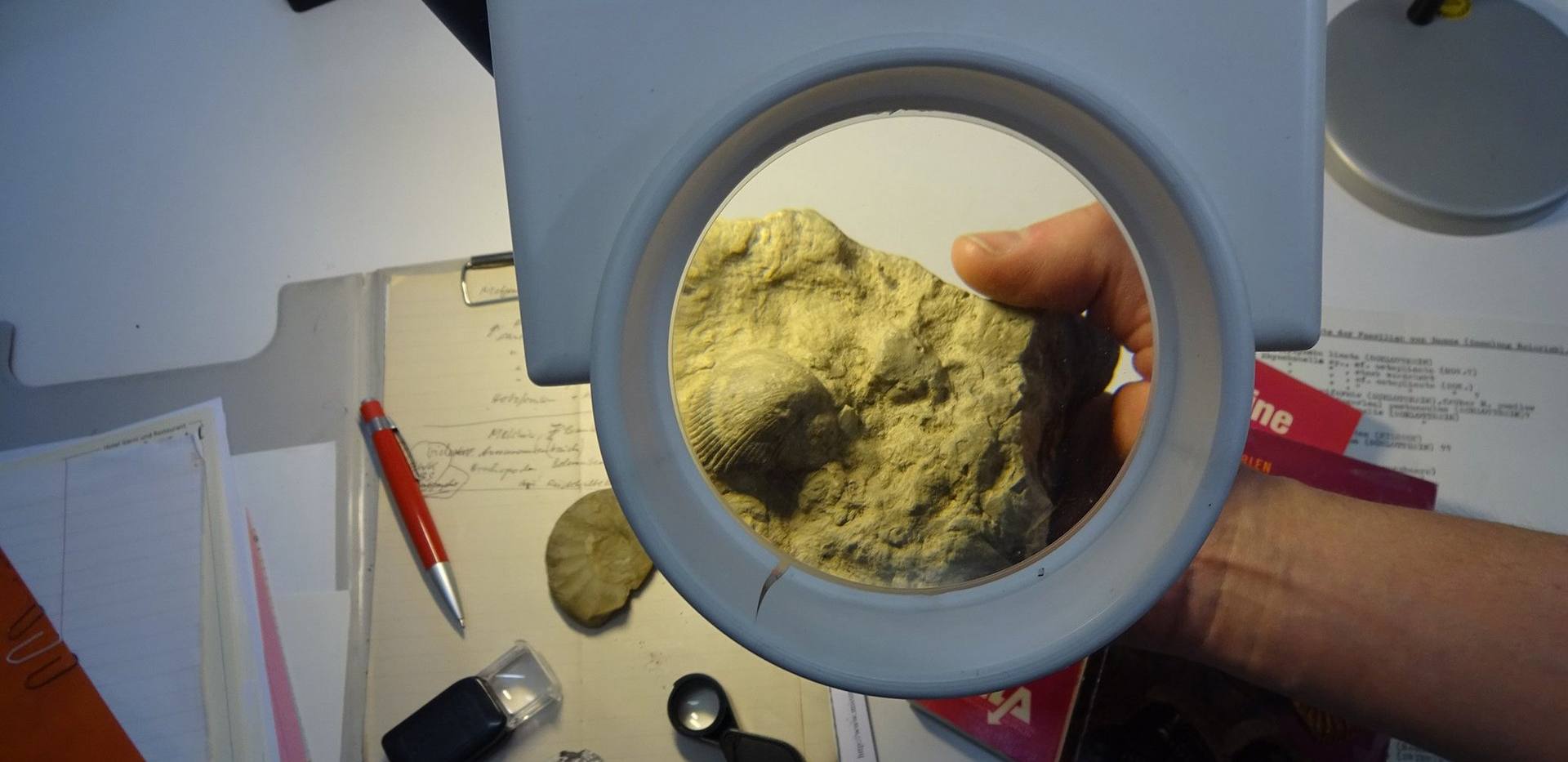 Geologische Fundberatung