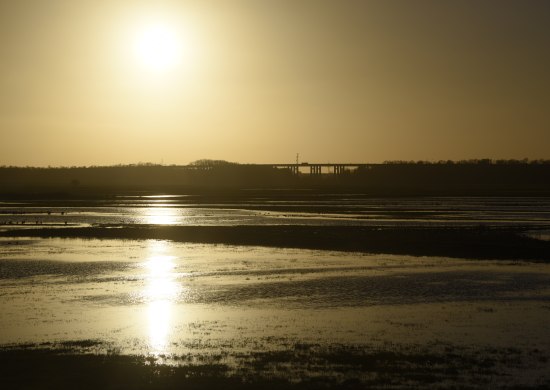 16_moorhauser_polder 16_moorhauser_polder