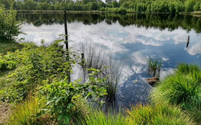 Kayhauser Moor Bad Zwischenahn Kayhauser Moor Bad Zwischenahn