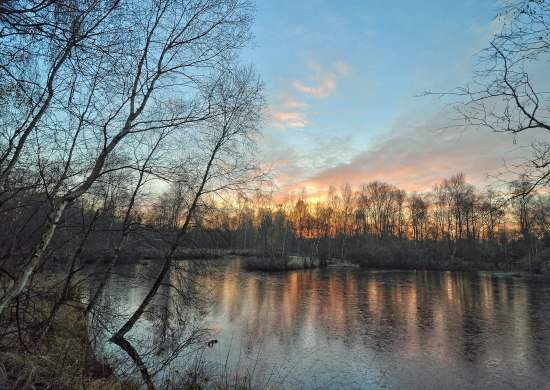 Gellener Torfmöörte Sonnenuntergang Gellener Torfmöörte Sonnenuntergang