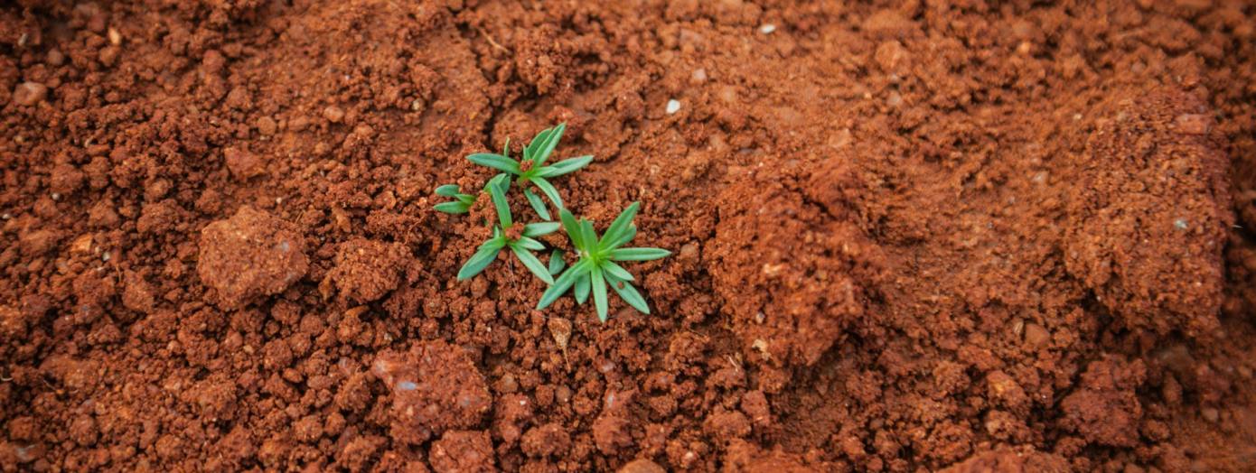 Auf dem Boden der Tatsachen