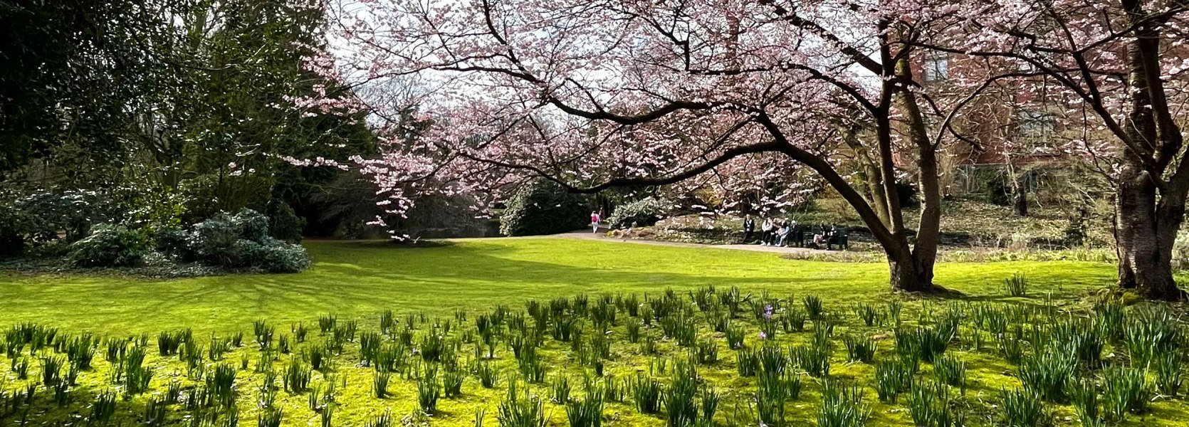 Oldenburger Schlossgarten im Frühling mit Frühblühern und blühenden Bäumen.