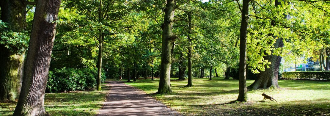 Eversten Holz Oldenburg