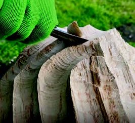 Holzskulptur intensiv