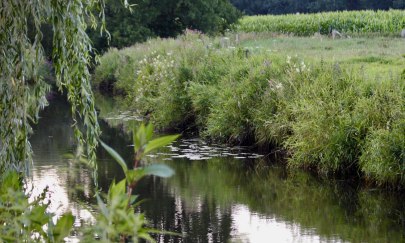 Die Haaren wird gesäumt von Weiden und Schilf. Die Haaren wird gesäumt von Weiden und Schilf.