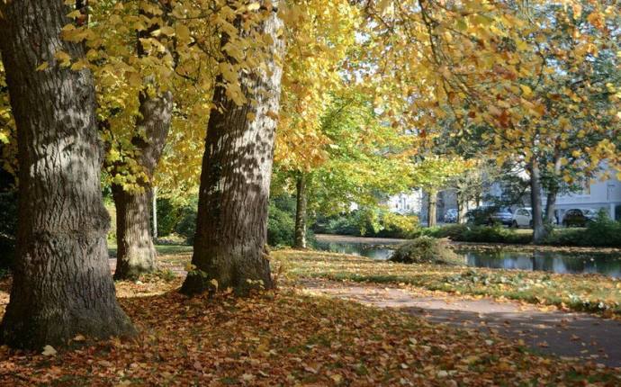 Garten im Wandel - Farben des Herbstes Garten im Wandel - Farben des Herbstes