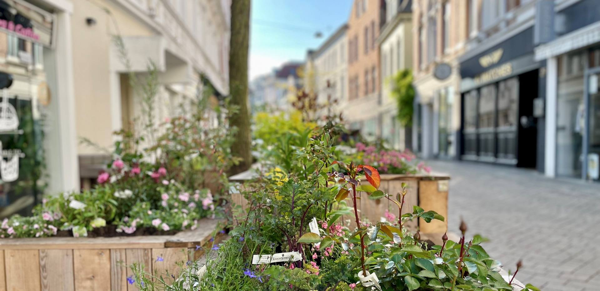 Blick auf ein Stadtgartenbeet in der Haarenstraße.
