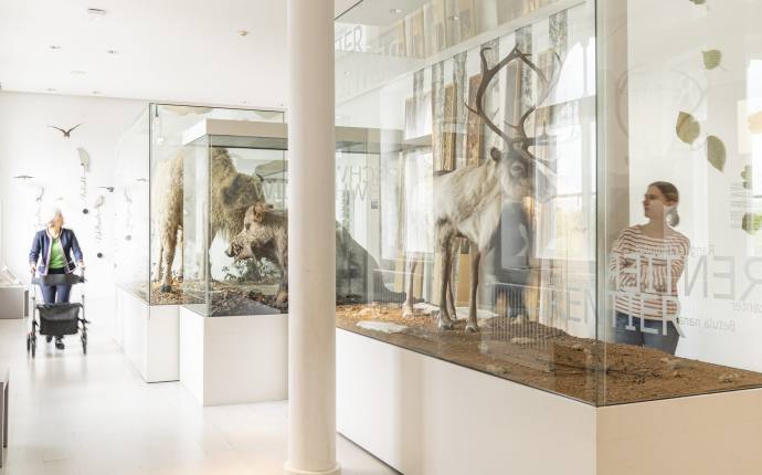 In diesem Land vor unserer Zeit - das Eiszeitalter in Norddeutschland