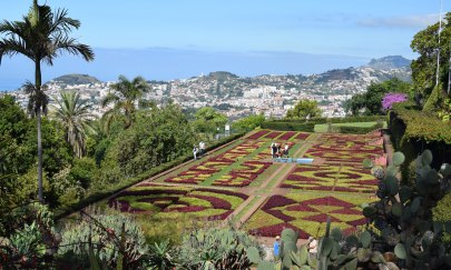 V3_Madeira1_c_Fred Saul
