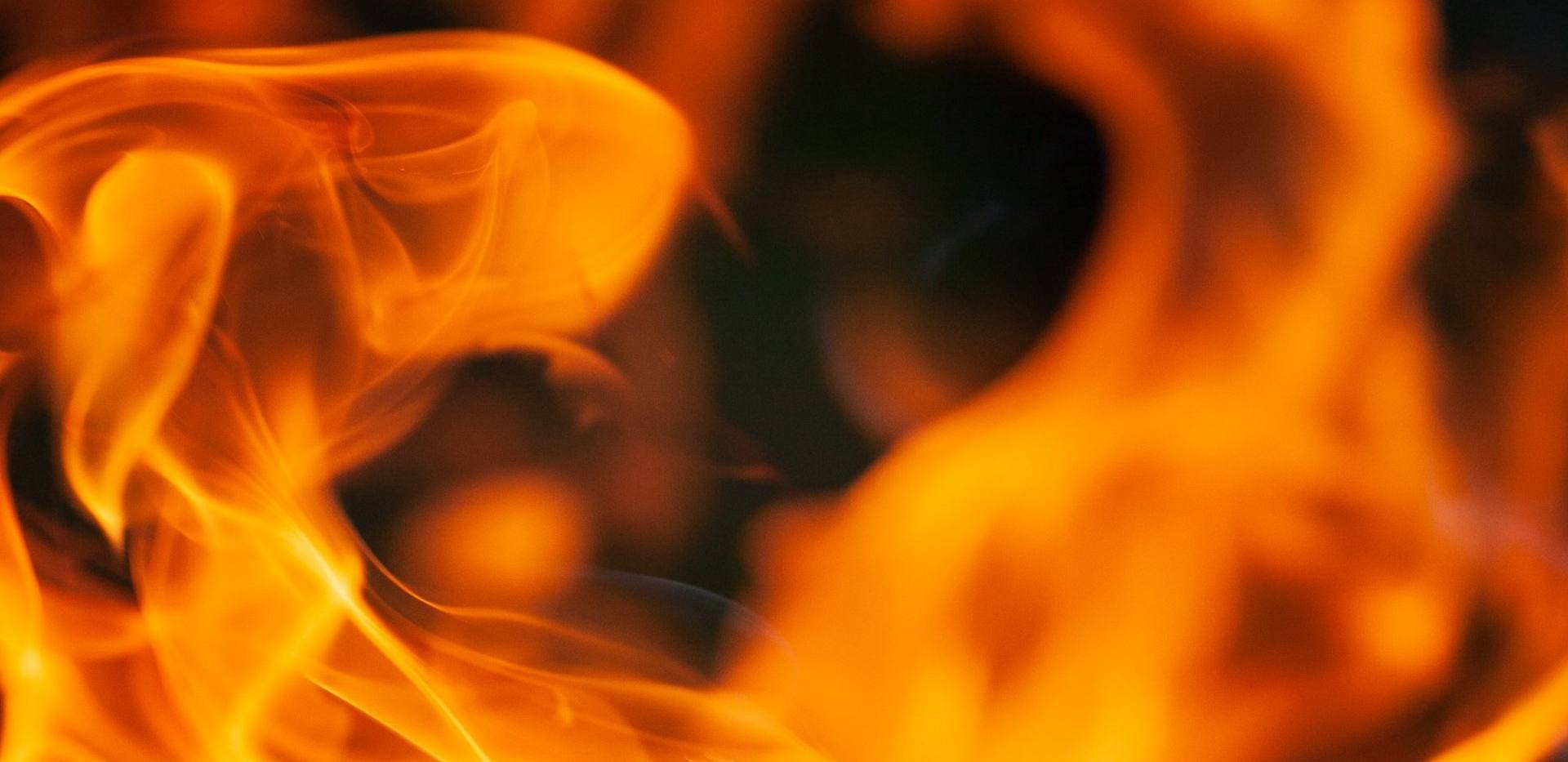 Feuer und Flamme für die Steinzeit Feuer und Flamme für die Steinzeit