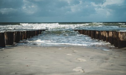 Leben zwischen Land und Meer - unsere dynamische Küste Leben zwischen Land und Meer - unsere dynamische Küste