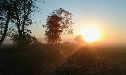 Everstener Moorspazierg&auml;nge