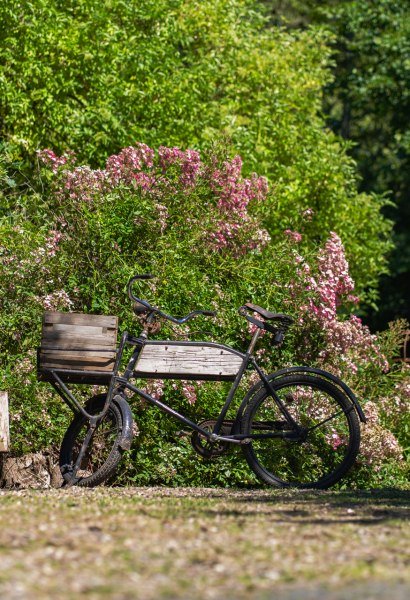 Fahrrad im Garten Sehnlichkeiten